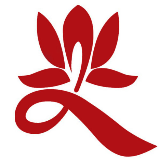 Институт Нан Тянь logo