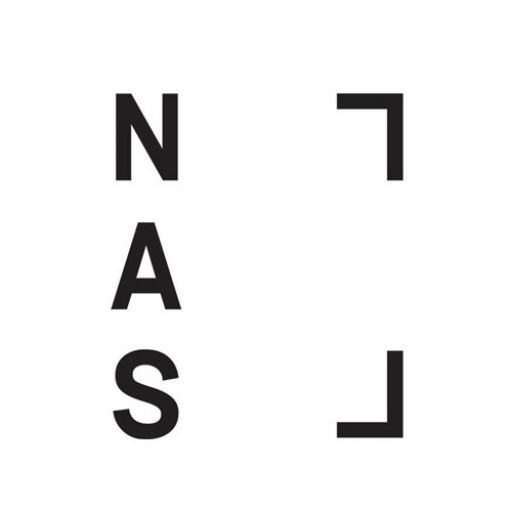 Национальная художественная школа logo
